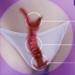 Vagina og livmoder
